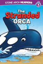Ocean Tales - The Stranded Orca