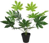 Countryfield Kunstplant Fatsia Zijde 40 X 45 Cm Groen/Zwart