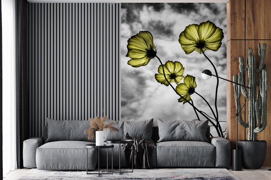 Papier Peint - Papier Papier peint photo Fleurs - Zwart - Wit - Jaune - Largeur 170 cm x Hauteur 260 cm