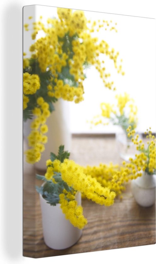 Acacia bloemen in potten in een woonkamer Canvas 80x120 cm - Foto print op Canvas schilderij (Wanddecoratie woonkamer / slaapkamer)