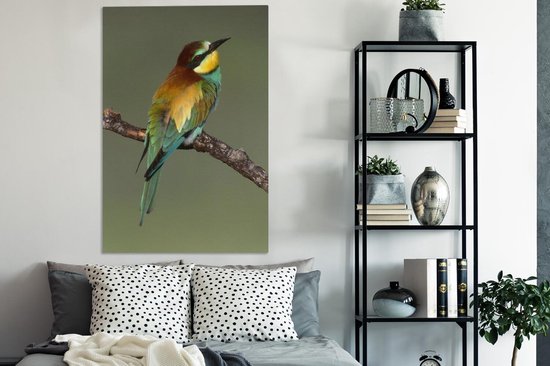 Guêpier d'Europe (Merops apiaster) se trouve sur une branche Sardaigne Italie Toile 80x120 cm - Tirage photo sur toile (Décoration murale salon / chambre)
