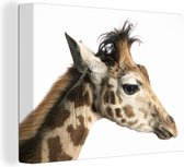 Canvas Schilderij Dier - Giraffe - Wit - 40x30 cm - Wanddecoratie