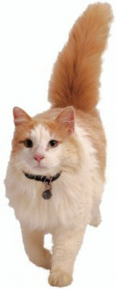 Petsafe 980 Kattenluik Magneetsleutel thumbnail 6