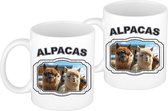 4x stuks dieren liefhebber alpaca mok 300 ml - kerramiek - cadeau beker / mok alpacas liefhebber