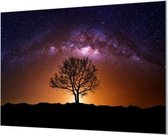 Wandpaneel Boom onder de sterren  | 100 x 70  CM | Zwart frame | Wandgeschroefd (19 mm)