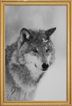 JUNIQE - Poster met houten lijst The Wolf -40x60 /Grijs