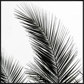 JUNIQE - Poster met kunststof lijst Palm Leaves 1 -20x20 /Groen & Wit