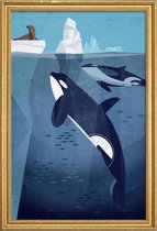 JUNIQE - Poster met houten lijst Vintage orka -20x30 /Blauw