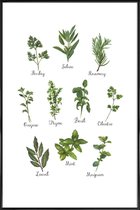 JUNIQE - Poster met kunststof lijst Herbs Collection -13x18 /Groen &