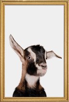 JUNIQE - Poster met houten lijst Goat -13x18 /Bruin & Wit