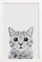 JUNIQE - Poster met houten lijst Kitten Classic -13x18 /Wit & Zwart