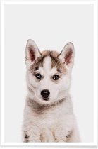 JUNIQE - Poster Husky -20x30 /Ivoor & Wit