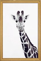 JUNIQE - Poster met houten lijst Giraffe -13x18 /Grijs & Wit