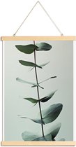 JUNIQE - Posterhanger Eucalyptus Green -40x60 /Groen & Wit