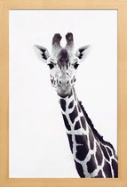 JUNIQE - Poster met houten lijst Giraffe -13x18 /Grijs & Wit