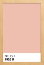 JUNIQE - Poster met houten lijst Blush -40x60 /Roze & Wit
