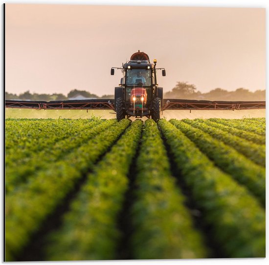 Dibond - Trekker op het Land aan het Werk - 50x50cm Foto op Aluminium (Met Ophangsysteem)