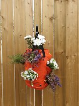 Hangende plantenzak / plantenbak / planten /  aardbeien / moestuin / bloemen op balkon