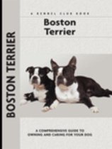 Boston Terrier