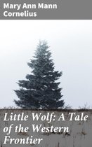 Little Wolf: A Tale of the Western Frontier