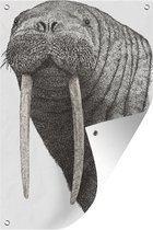 Muurdecoratie Een zwart-witte illustratie van de kop van een walrus - 120x180 cm - Tuinposter - Tuindoek - Buitenposter
