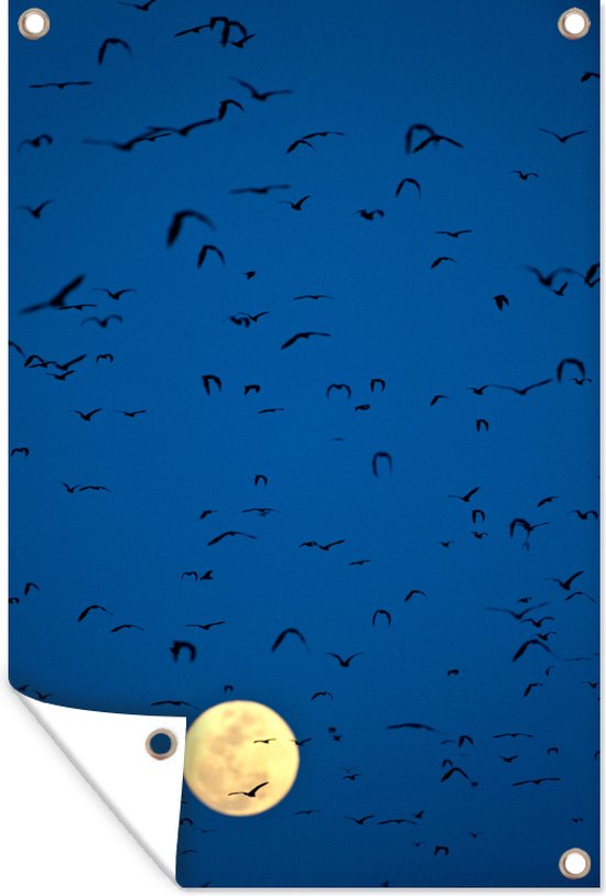 Tuindecoratie Vleermuizen voor volle maan - 40x60 cm - Tuinposter - Tuindoek - Buitenposter