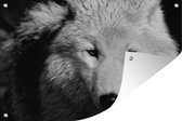 Tuinposter - Tuindoek - Tuinposters buiten - Dichtbij weergeven wolf in zwart-wit - 120x80 cm - Tuin