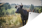 Muurdecoratie Een stier in een geel veld - 180x120 cm - Tuinposter - Tuindoek - Buitenposter