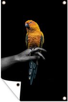 Tuinposters buiten Vogel - Tak - Papegaai - 60x90 cm - Tuindoek - Buitenposter