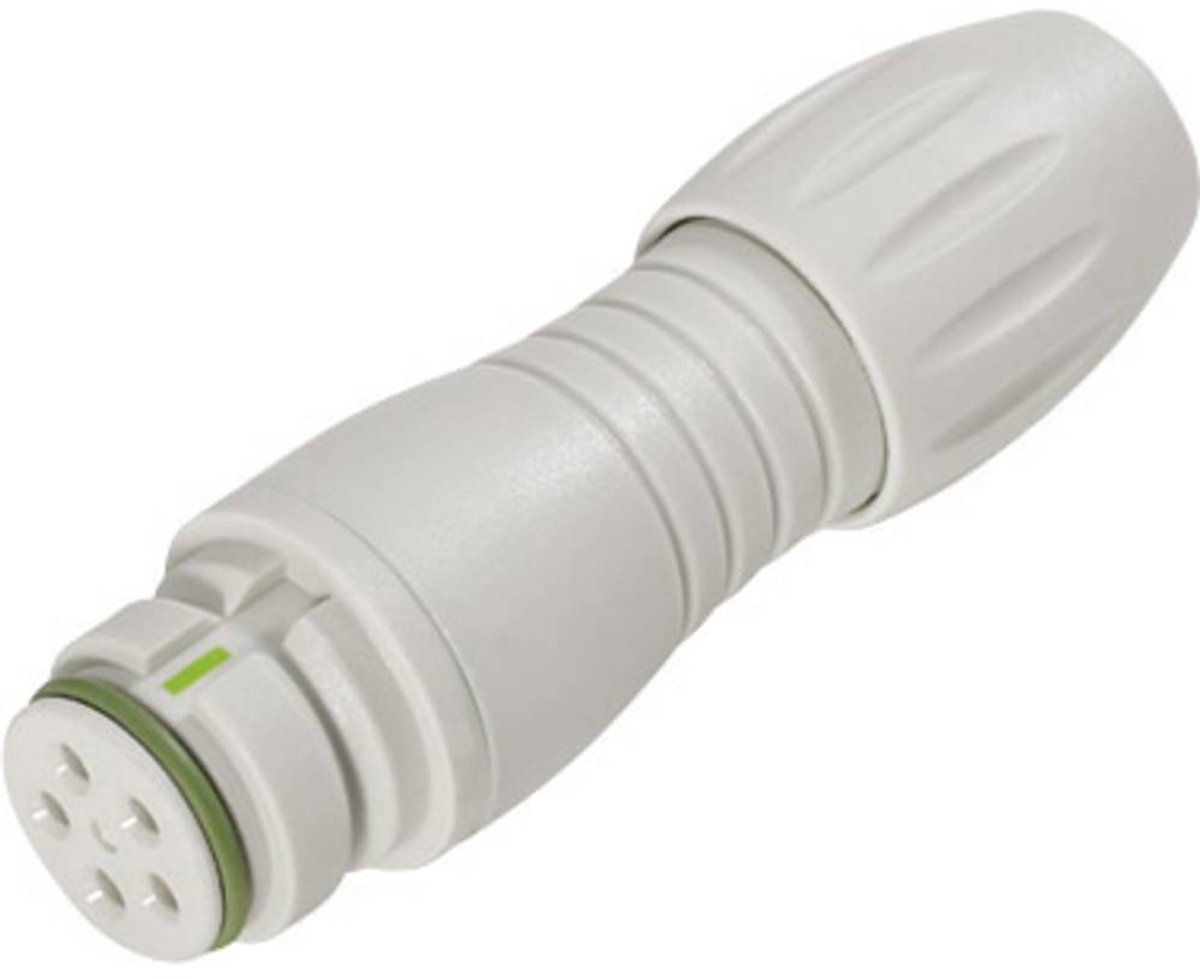 binder 99 9114 400 05 Ronde subminiatuurconnector Koppeling, recht Totaal aantal polen: 5 1 stuk(s)