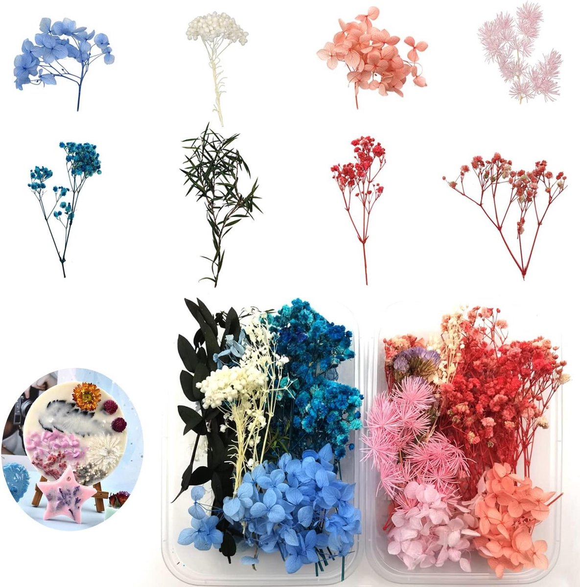 Orivio - Doos met Natuurlijke Gedroogde Bloemen voor DIY Hars, Zeep, Scrapbooking - Mini Gemengde Droge Reliëf Monsters - Sieraden Maken Nagels Giftornament
