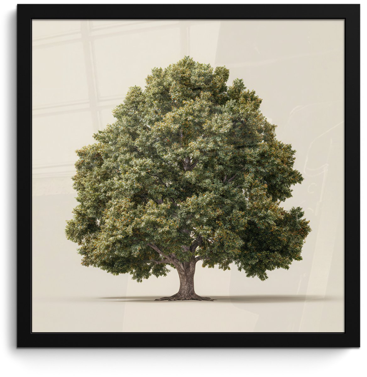 FrameYourWall Poster in lijst - Fotolijst 40x40 cm - Posters - Eikenboom - Groen - Lichte achtergrond - Posterlijst zwart - Decoratie - Wanddecoratie woonkamer - Muurdecoratie slaapkamer