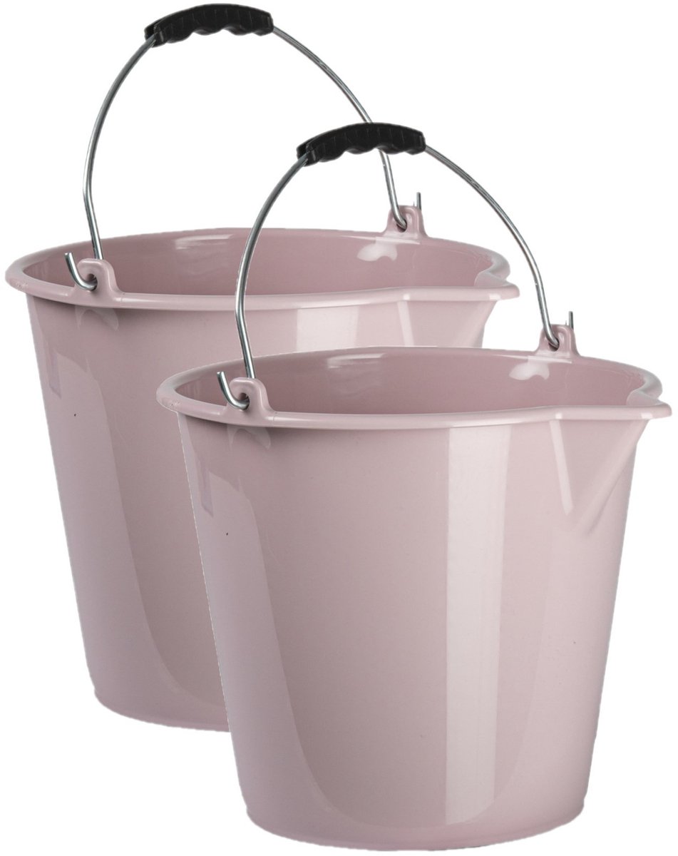 Plasticforte Emmer - 2x - roze - 9.5 liter - schoonmaak en huishoud emmer - met schenktuit