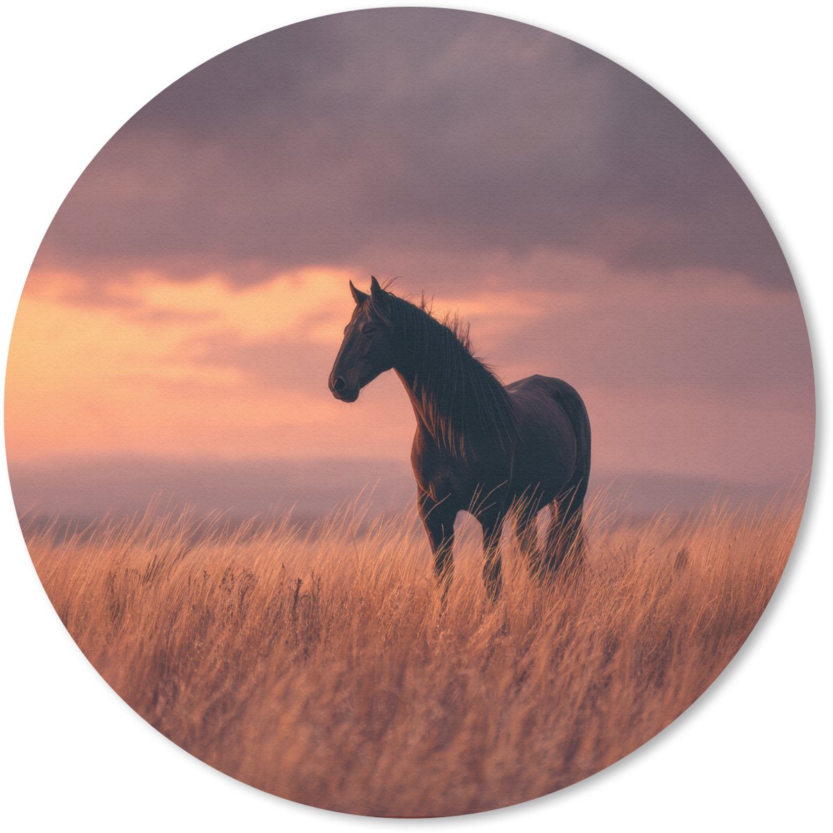 Muismat rond 30x30 cm - Mousepad Paard - Wolken - Open veld - Ronde muismatten