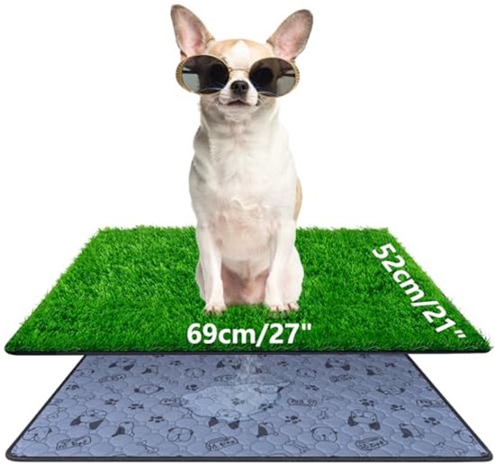269557_7 269557_7