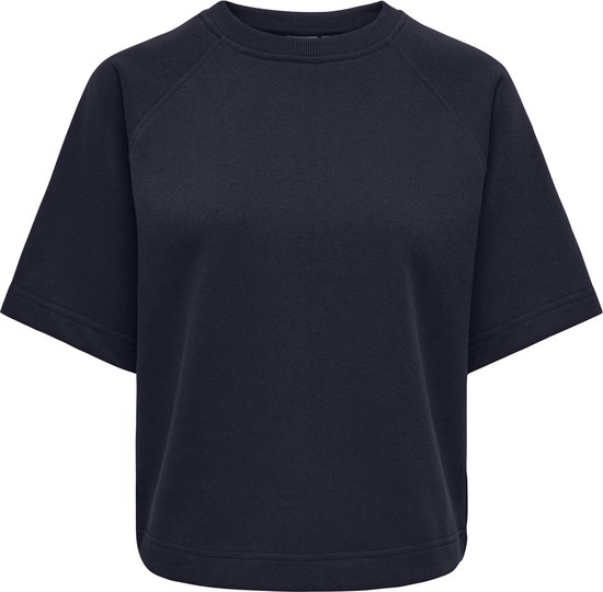 ONLY- ONLOFELIA SS RAGLAN UB CC SWT - Heren - Sweatshirt