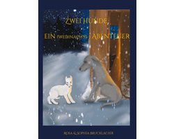 Zwei Hunde ein (weihnachts-) Abenteuer