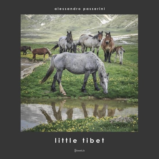 Project 9 - Little Tibet - cover