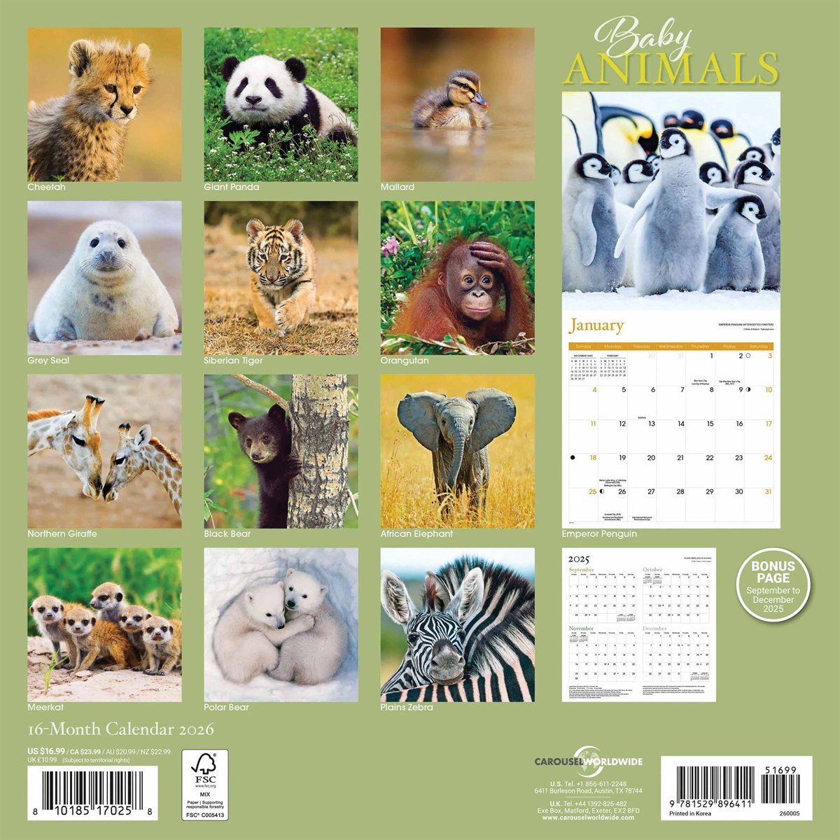 DIN A4 – 170 G/m² Papier – Spiraalbinding Dieren In Het Bos DIN A4 – 170 G/m² Papier – Spiraalbinding Dieren In Het Bos