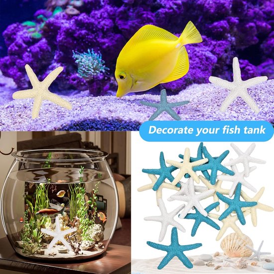 Zeester Pyama Zeester Decoraties - Oceaan Thema - Set van 20 - Hars - 5,8 cm | bol
