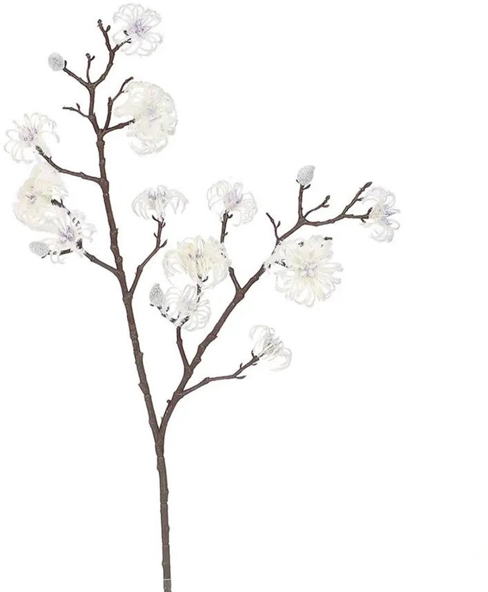 Hortus - Magnolia tak cream