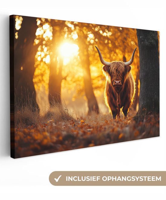 Highlander écossais aux longues cornes, dans une forêt automnale, rayons de soleil chauds.