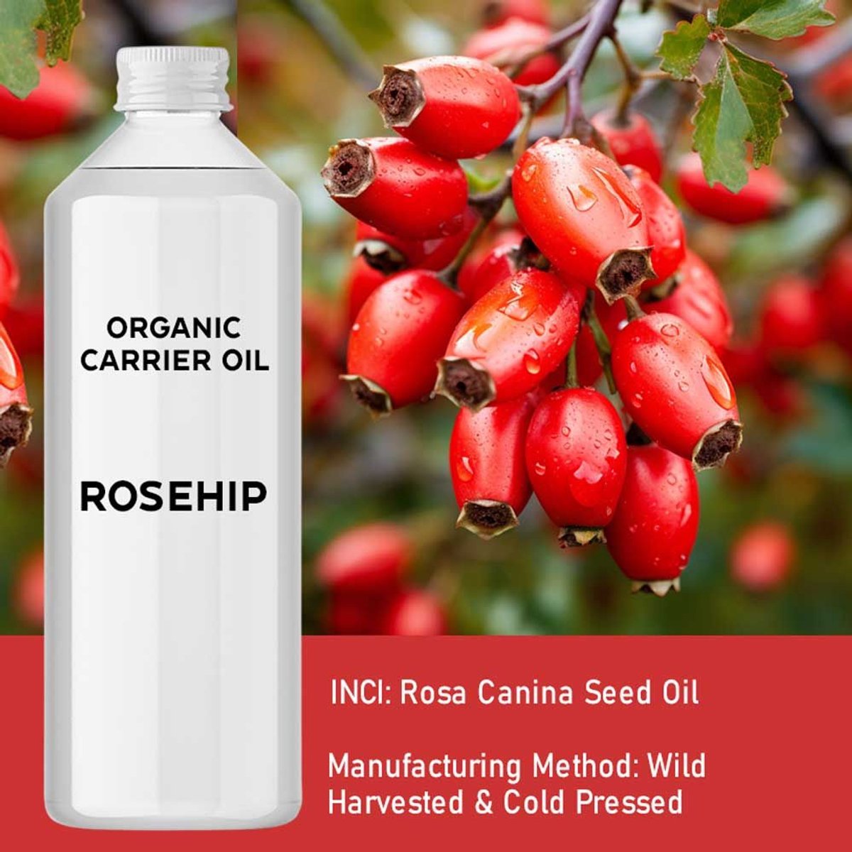 Biologische rozenbottelolie 1 liter