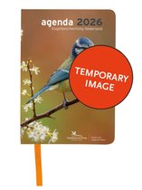 Chèque De Réservoir I Bon Pour Faire Le Plein I Belle Idée De