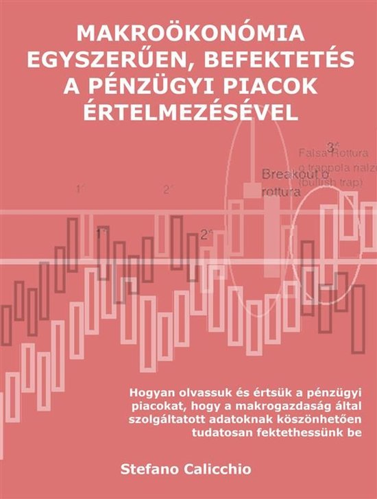 Makroökonómia egyszerűen, befektetés a pénzügyi piacok ... - cover