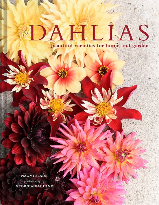 Dahlias - cover