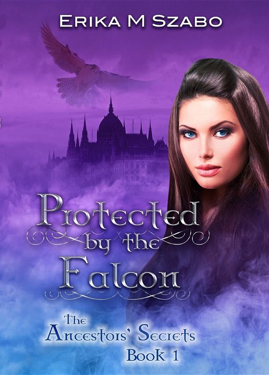 Protected by the Falcon - cover