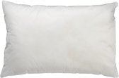 BINNENKUSSEN - kussenvulling 40x60 cm - 100% polyester vulling - 420 gram