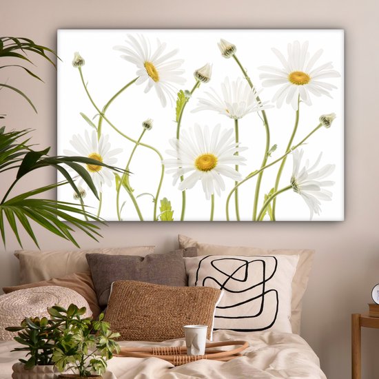 Peinture sur toile - Canvasdoek - Fleurs - Marguerite - Wit - Jaune - Plantes - Décoration murale - 150x100 cm - Photo sur toile