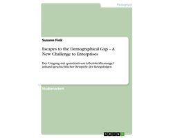 Escapes to the Demographical Gap – A New Challenge to Enterprises Escapes to the Demographical Gap – A New Challenge to Enterprises